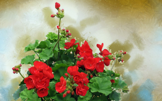 972332 (a): :2560x1600